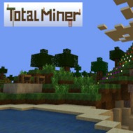 Скриншот Total Miner