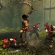 Скриншот Prince of Persia: Warrior Within